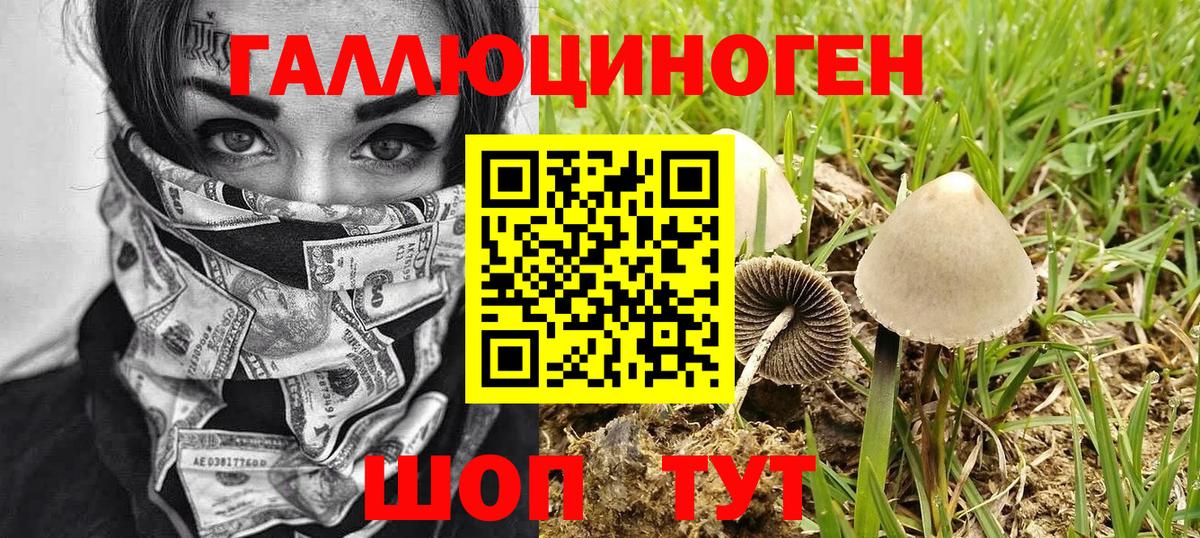 Галлюциногенные грибы ЛСД  Вход с VPN  купить наркотик  Зима 
