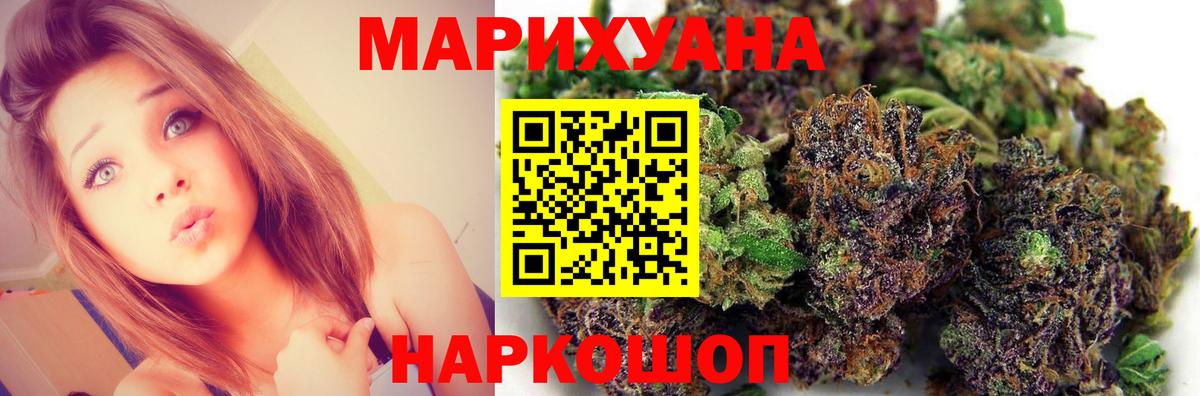 МАРИХУАНА план Зима